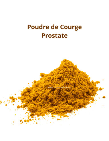 Poudre de pépins de Courge BIO (Curcubita pepo) - Phytofrance