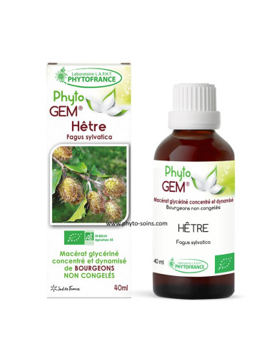 Macérat glycériné concentré de bourgeons de Hêtre BIO - Phytofrance par phyto-soins.com