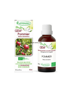Macérat glycériné concentré de bourgeons de Pommier BIO - Phytofrance par phyto-soins