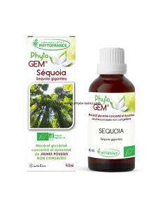 Macérat glycériné concentré de jeunes pousses de Séquoia BIO - Phytofrance