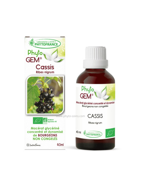Macérat glycériné concentré de Cassis BIO - Phytofrance par phyto-soins