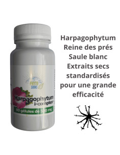 Gélules Harpagophytum i-complex- Mobilité et confort articulaire - Phyto-soins