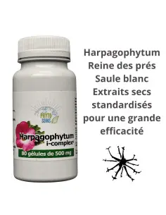 Gélules Harpagophytum i-complex- Mobilité et confort articulaire - Phyto-soins
