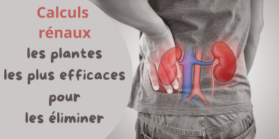 Calculs rénaux: soulager et évacuer avec les plantes