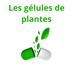 Les gélules de plantes BIO