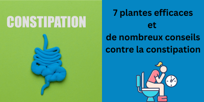 Constipation: 7 plantes efficaces et de nombreux conseils