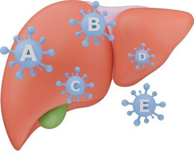 Les hépatites virales et les traitements par les plantes