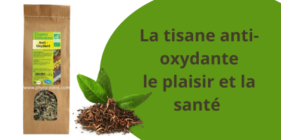 La tisane anti-oxydante: plaisir et santé anti-âge